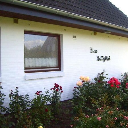 Hooge In The Haus Halligblick Dagebuell Exterior photo